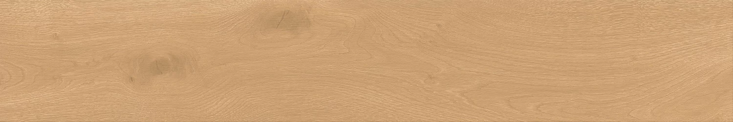 A842 Entice Pale Oak Natural Grip R11 20x120 Atlas Concorde