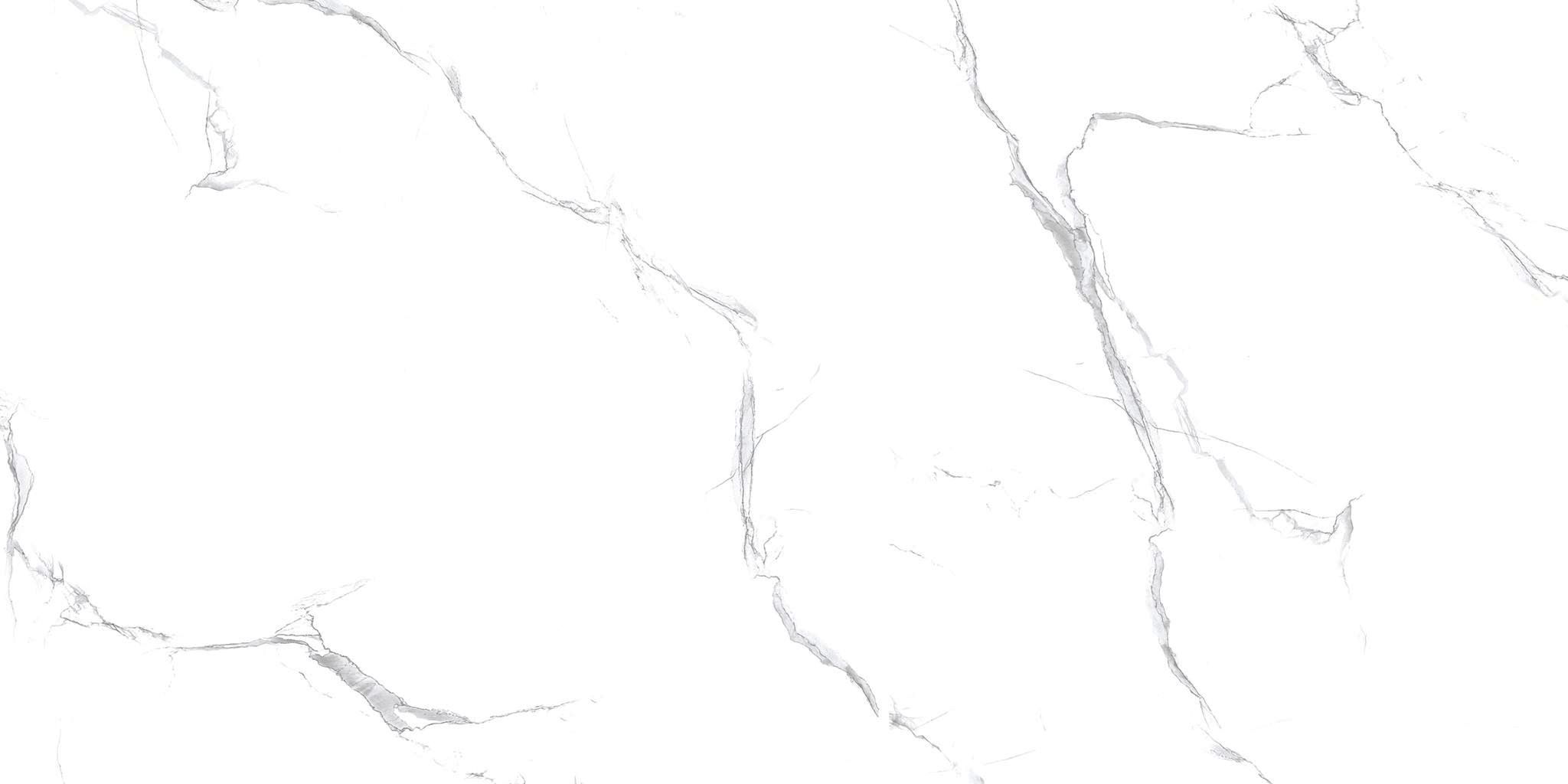 R_PR2003 Unico White Polished 60x120 Royce