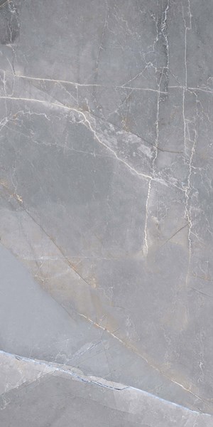 Beauty Grey carving 60x120 Realistik