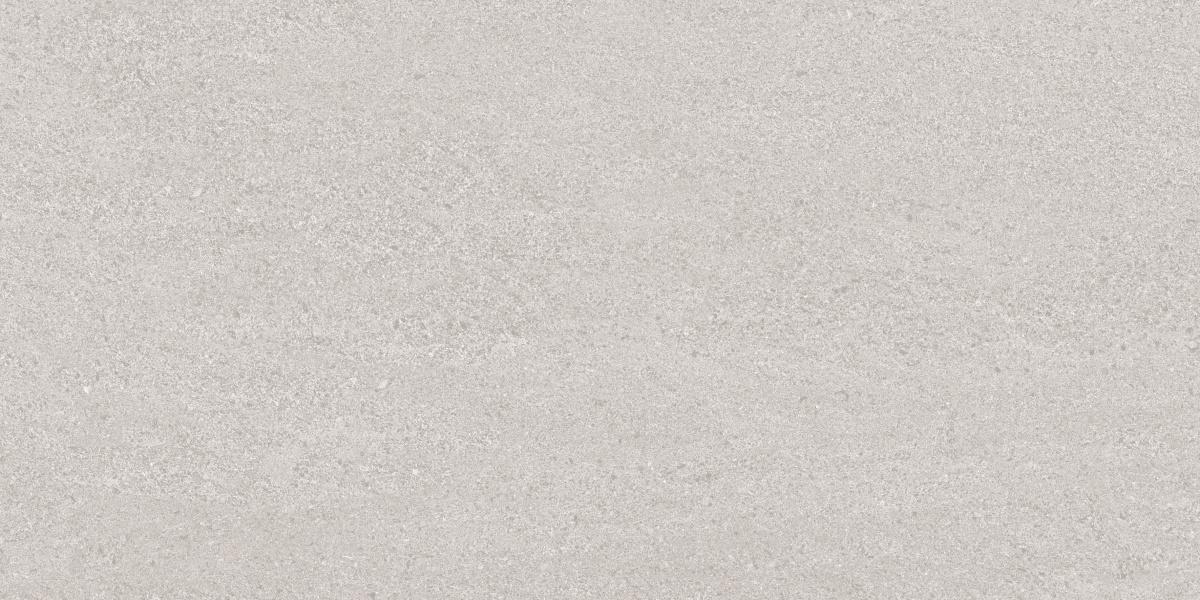 Абсолют Нэйчерал ПРО серый матовый структурный R10/A КР 60х120 Laparet