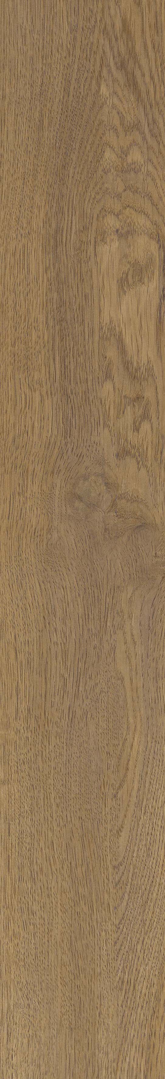 SGR51 Velaris Honey 9.2x60 Stargres фото 8