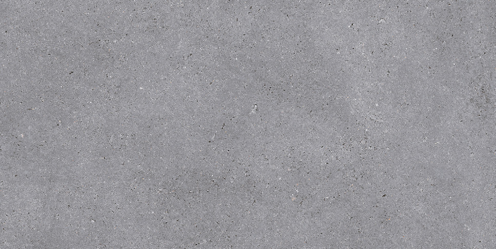 NR210 Nemo Grey 60x120 PrimaVera