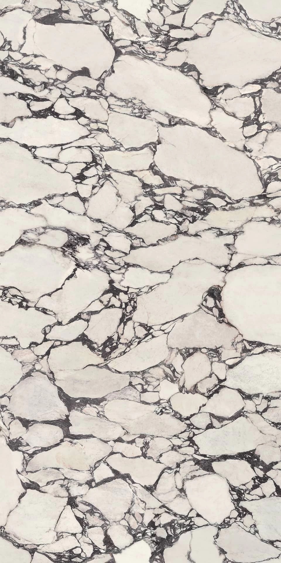 HCLZ Calacatta Viola Polished 6mm 160x320 Atlas Concorde