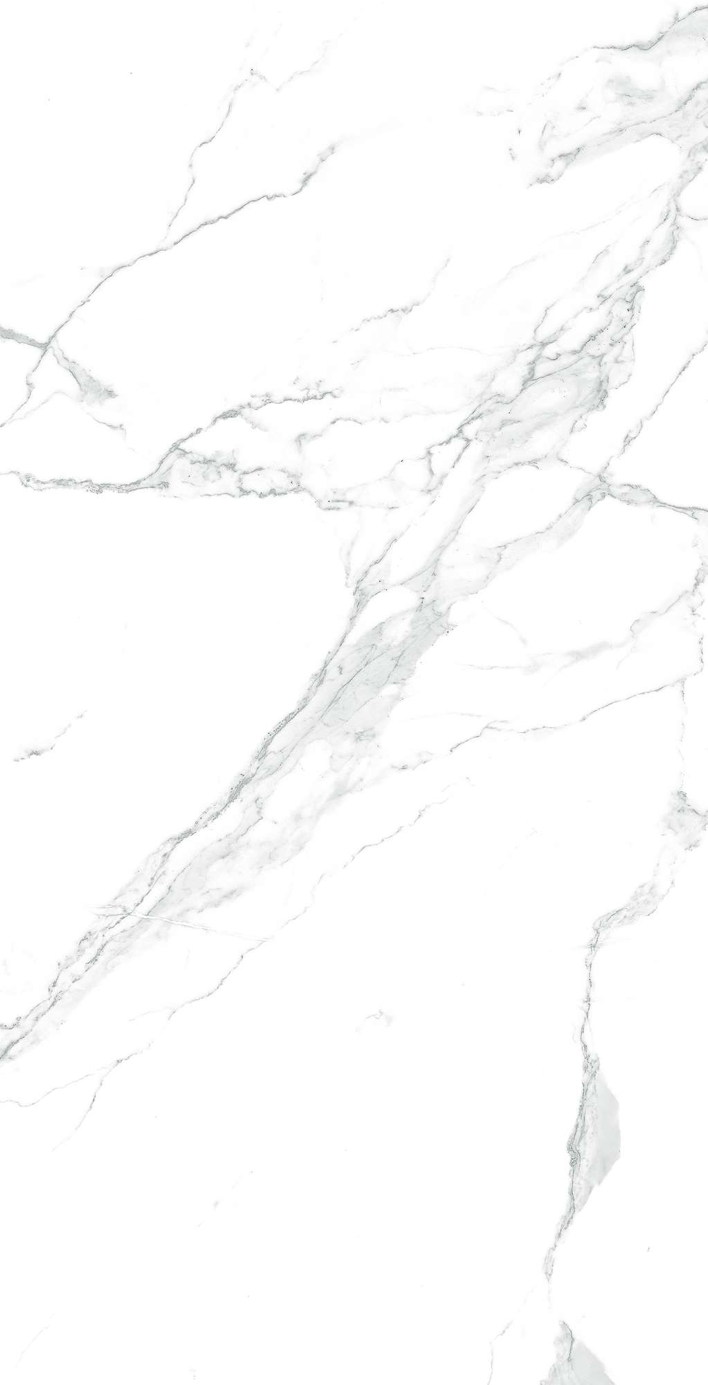 GI8005-A Paradise Statuario Matt Glossy Ink 60x120 Arcadia Ceramica