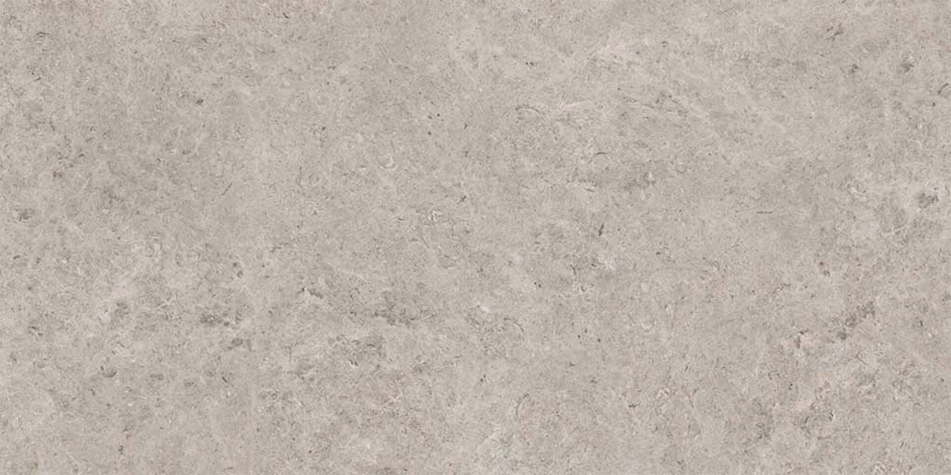 Seashell Natural R10 Carving 60x120 Gravita