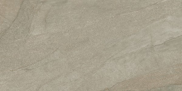 LAB HALLEY MUD 60x120 Geotiles