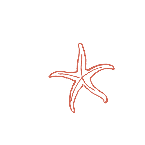 4101301 Stories Costiera Matte 10x10 41ZERO42 фото 46