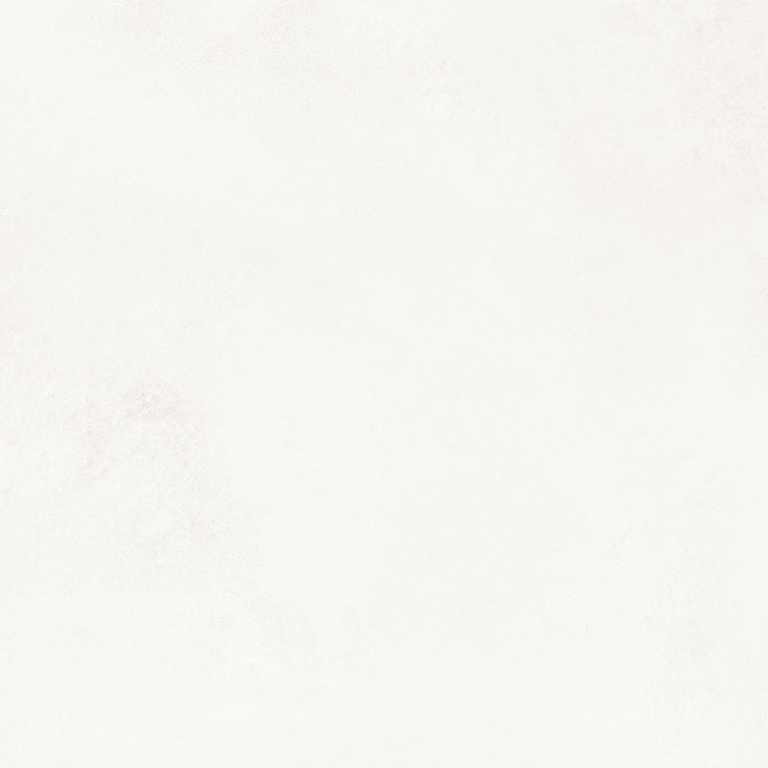 NP_P0074 Delishn white 60х60 Creto
