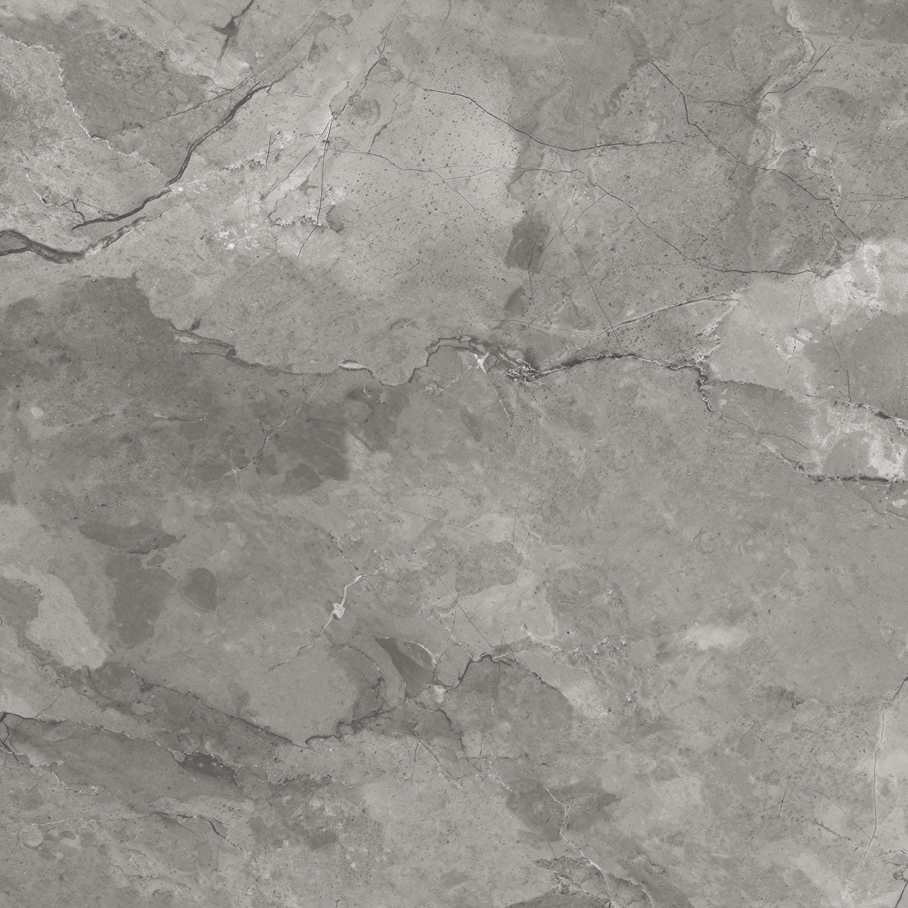 CR6020-A Bismanto Grey Carving 60x60 Arcadia Ceramica фото 4