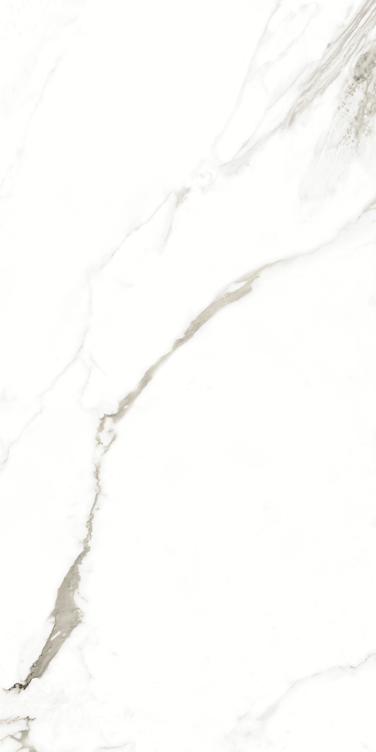 893 Fantastic White 120x60 Artcer