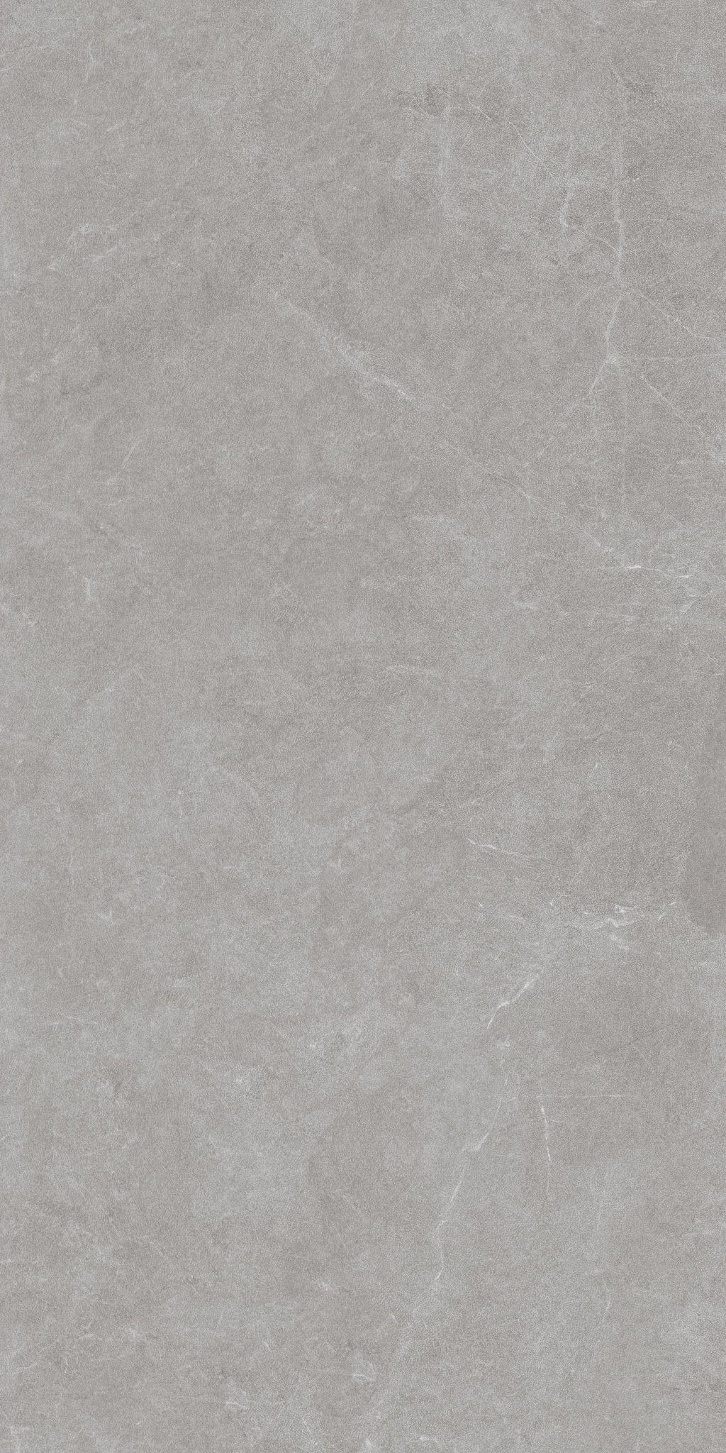 232 Ройс Грэй 60x120 Eurotile Ceramica