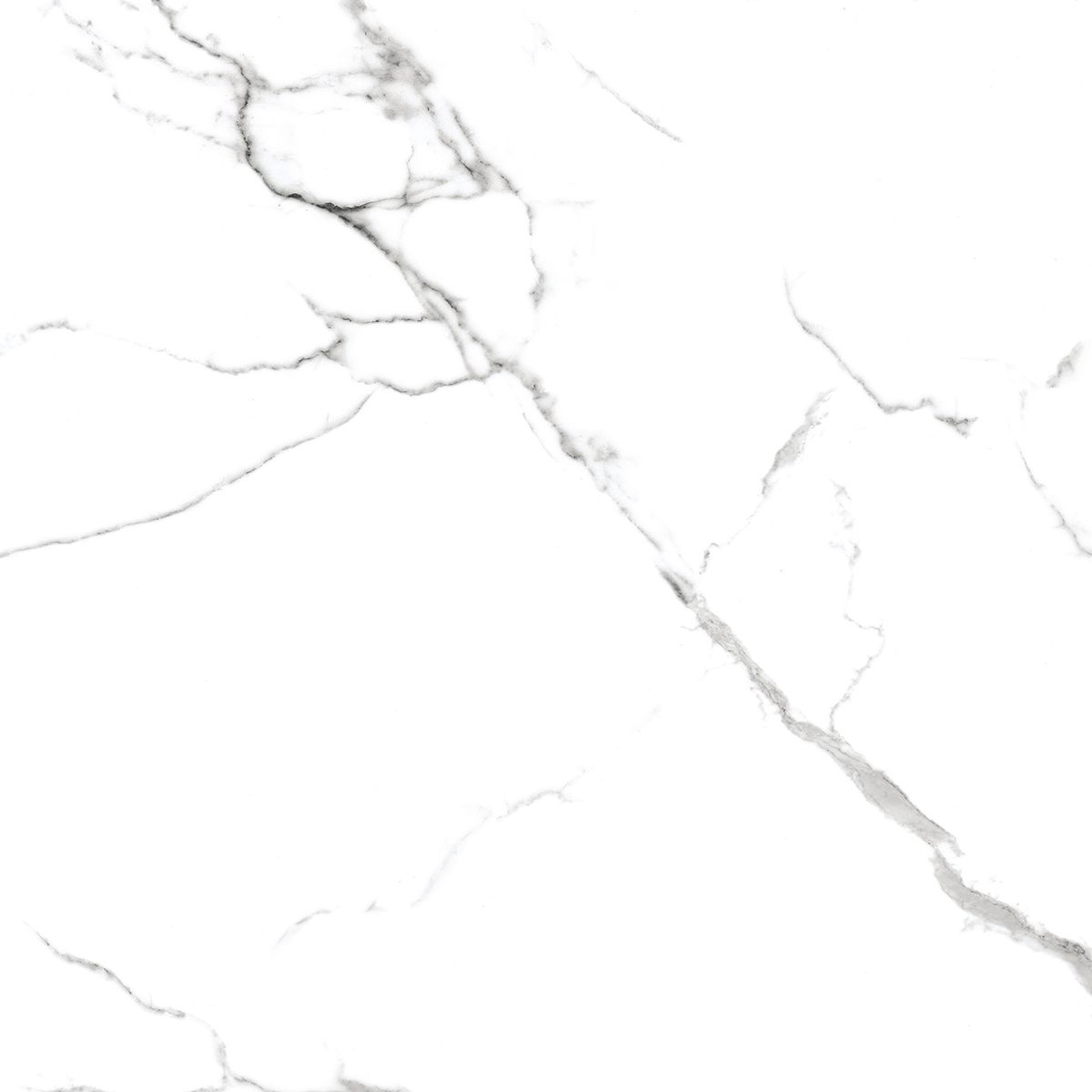 R_PR1001 Calacatta Venatino Polished 60x60 Royce