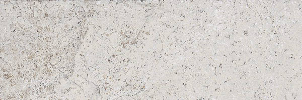 76061 MATTONCINO BIANCO 10x30 Gardenia Orchidea (Versace)