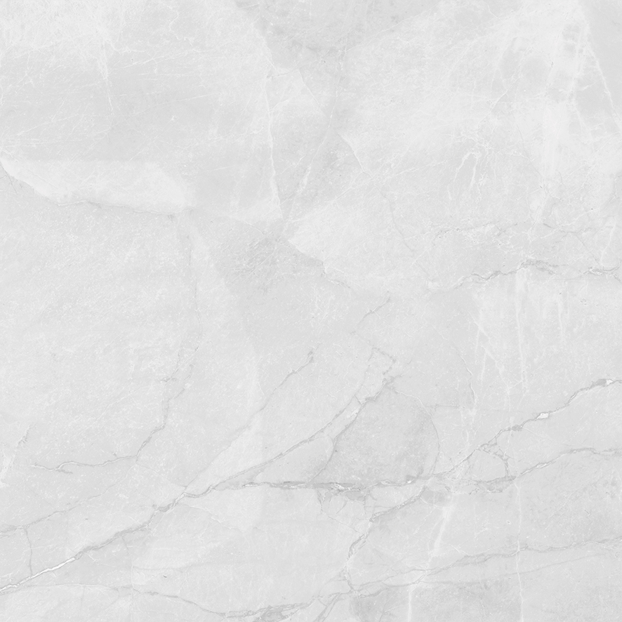 LP6060G0241R Berna Silver светло-серый матовый 59,5х59,5 Laparet