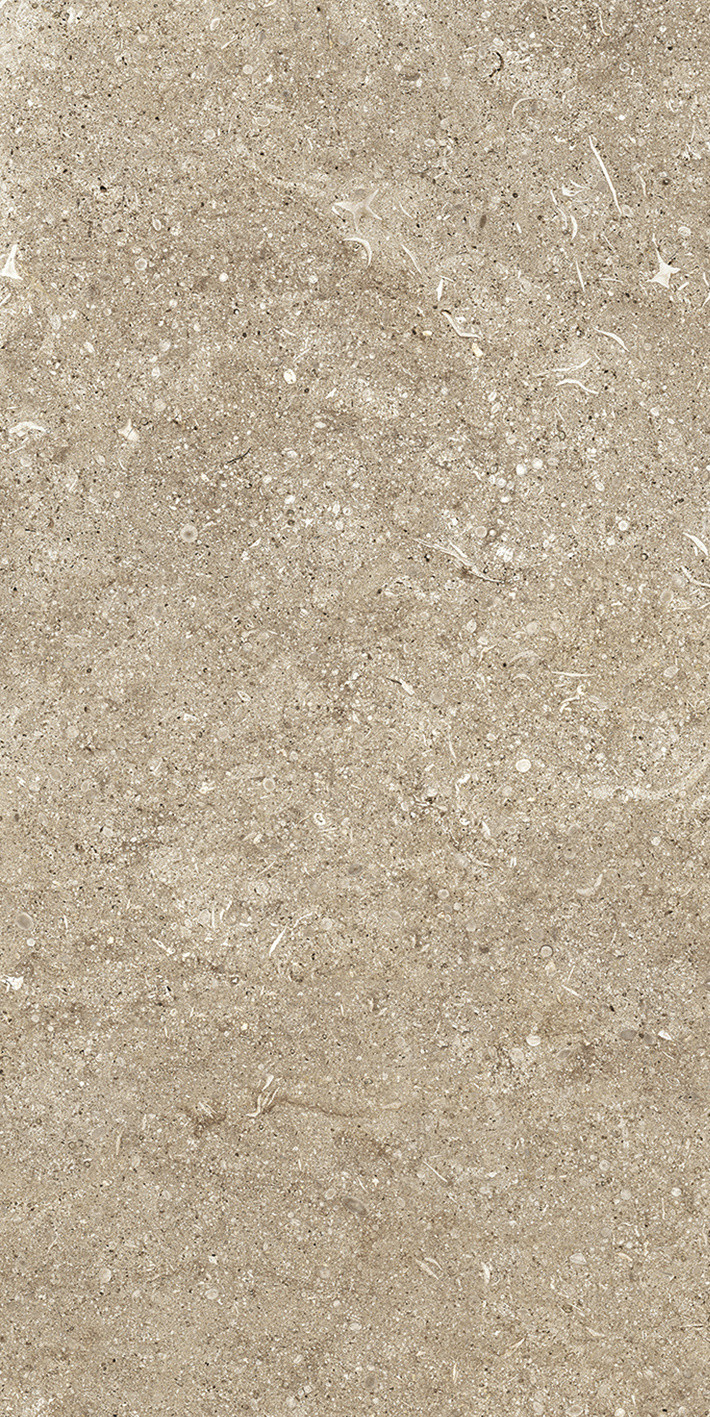 768347 Sensi Taupe Fossil Ret 40x80 Casa Dolce Casa
