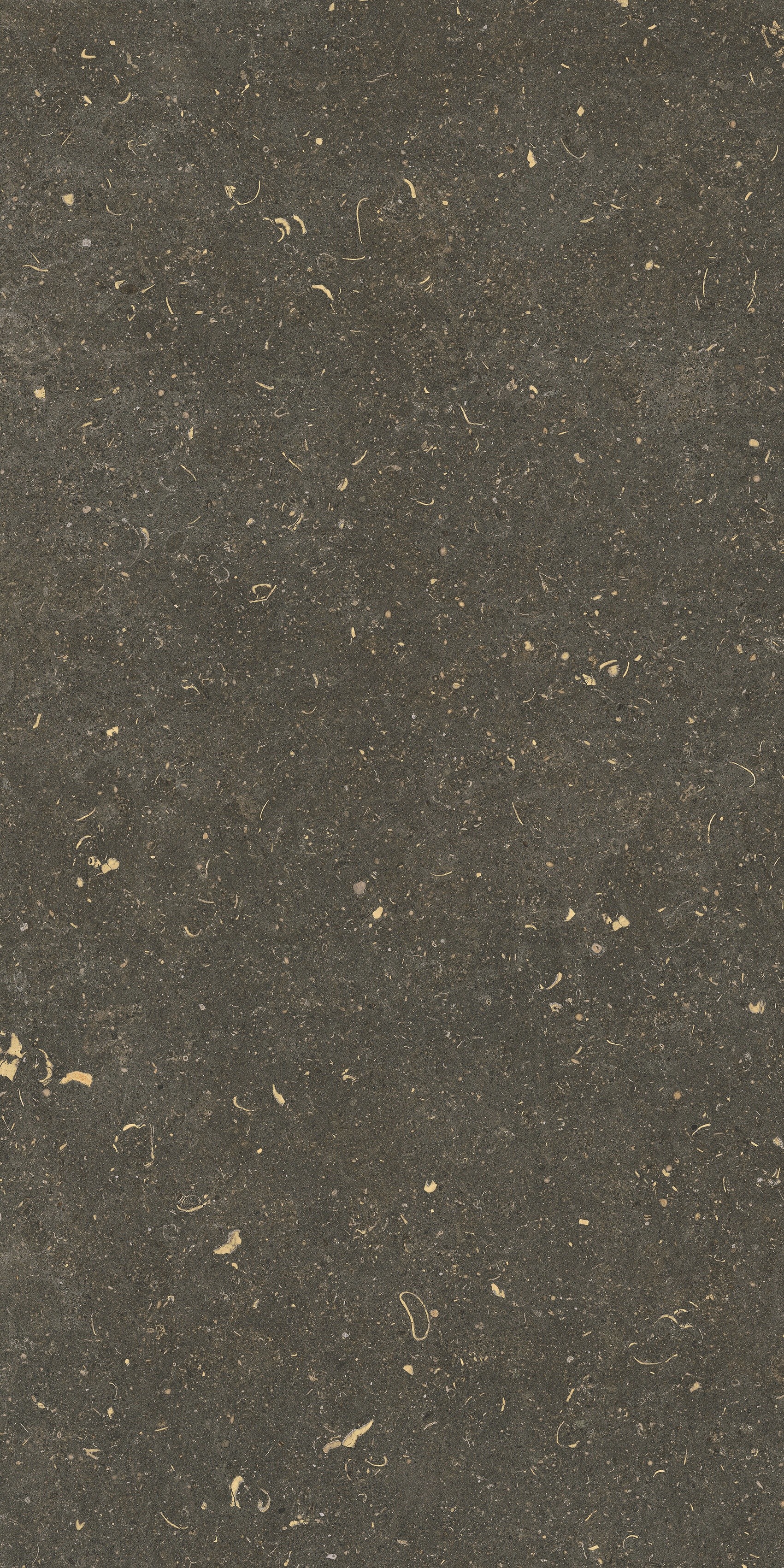 785511 Rinascenza Arena Platino Grip 20mm 60x120 Casa Dolce Casa фото 6