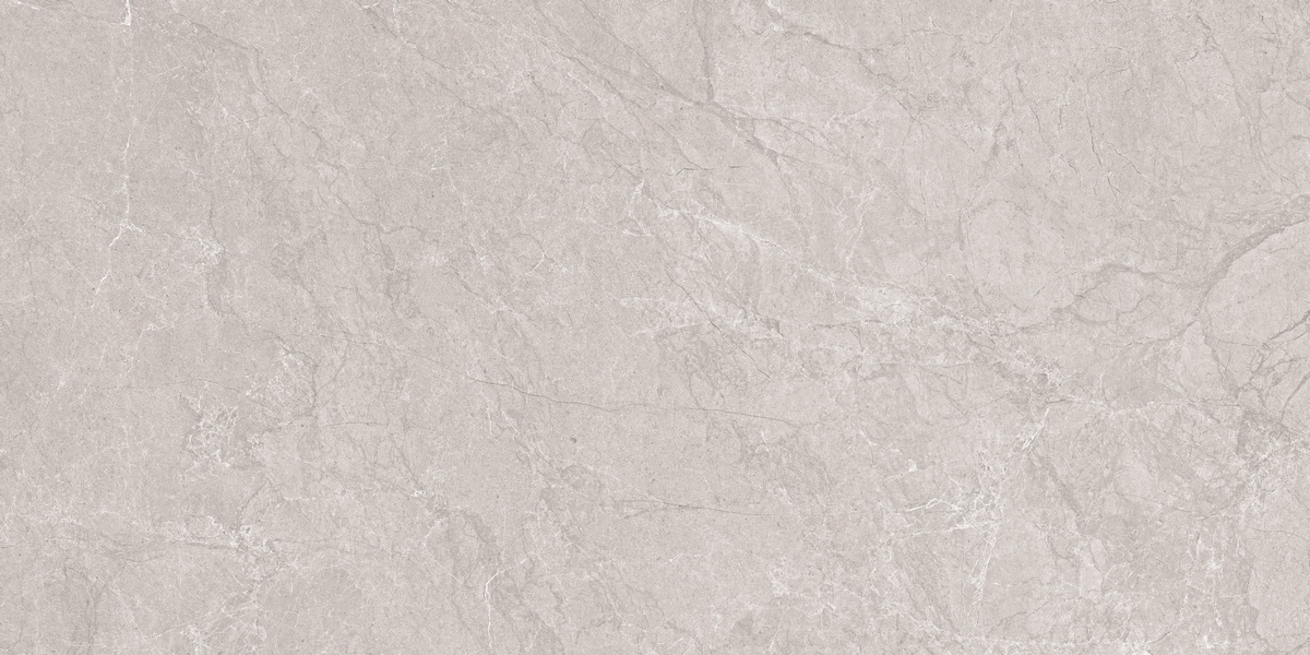 N20555 Aristo Grey Tm 60x120 Neodom