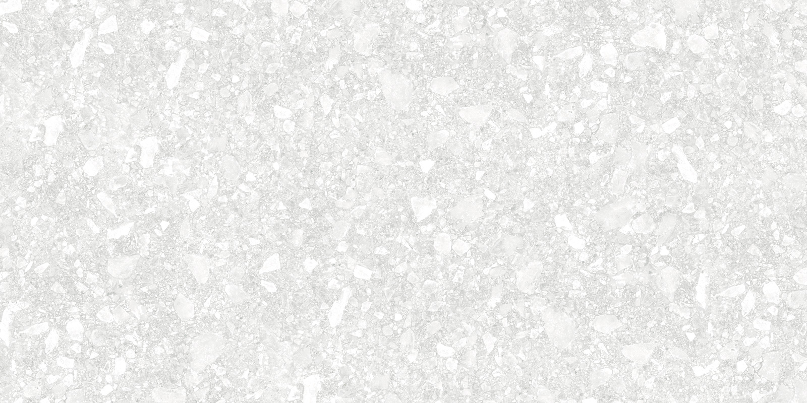 D12041M Turin Light 1200x600x9.5 Delacora