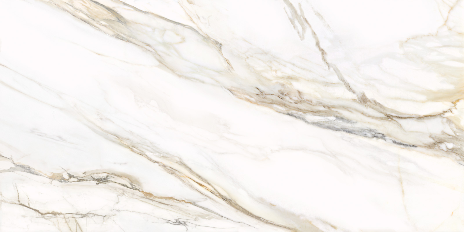 D12054M Omega Gold 1200x600x9.5 Delacora