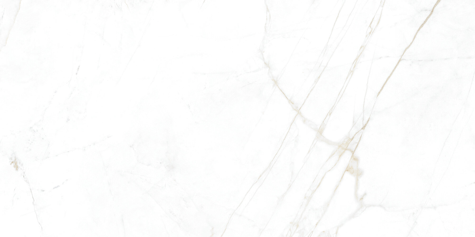 31741 Dual White EP 60x120 Peronda