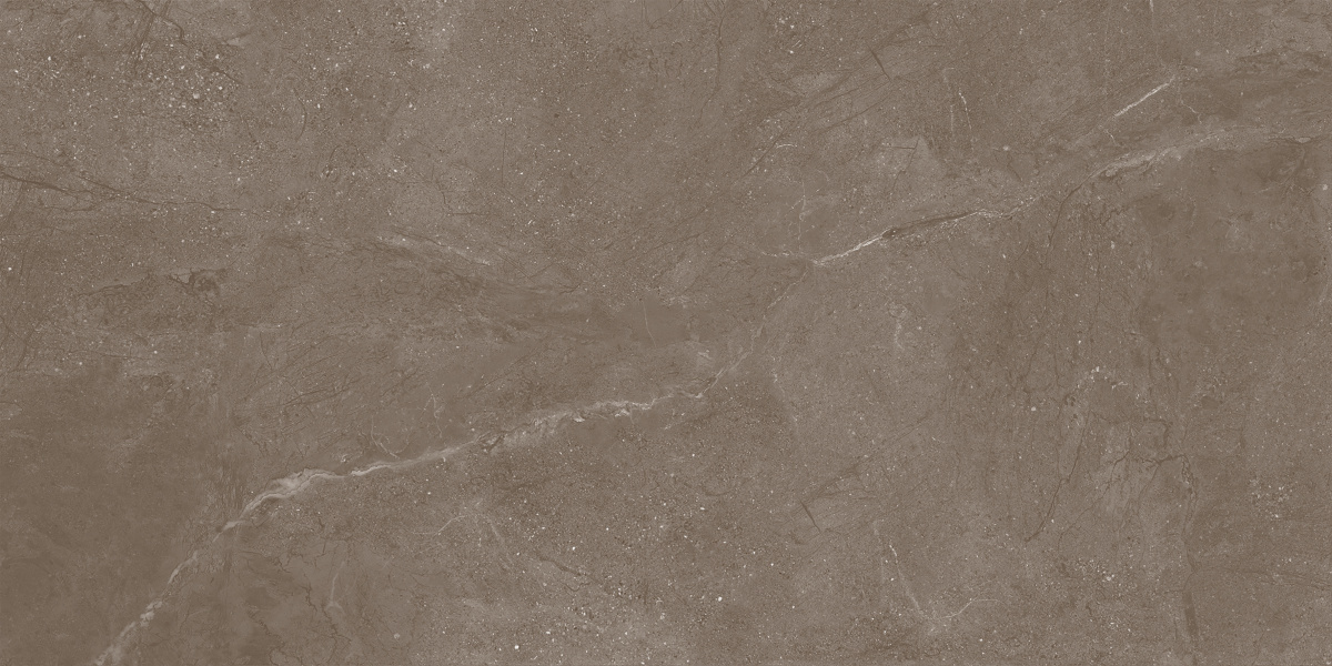 Нобл Мокка ПРО коричневый матовый структурный R11/A Бархат КР 60х120 Laparet фото 4