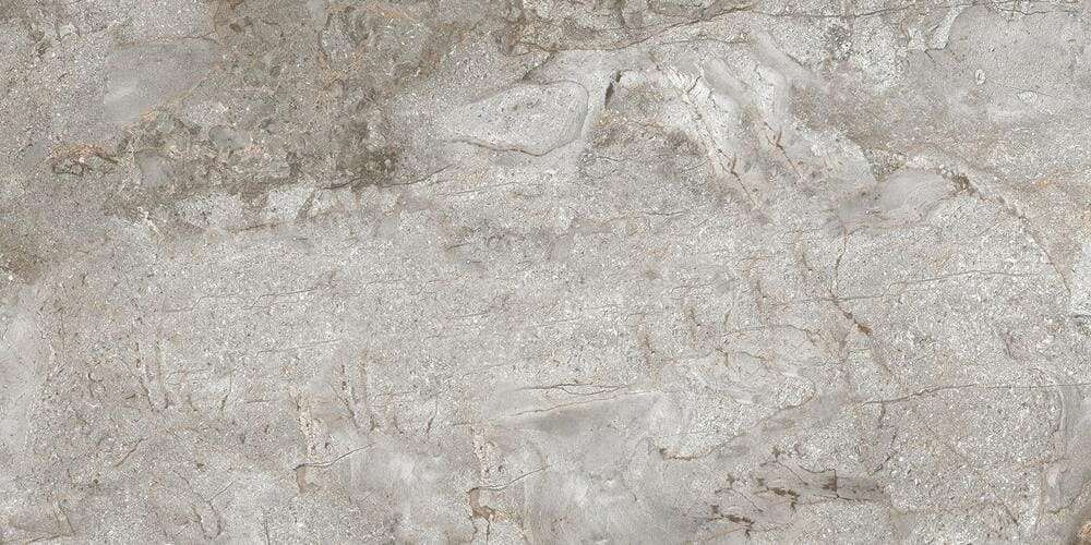 NR225 Chalco Grey Matt 60x120 PrimaVera