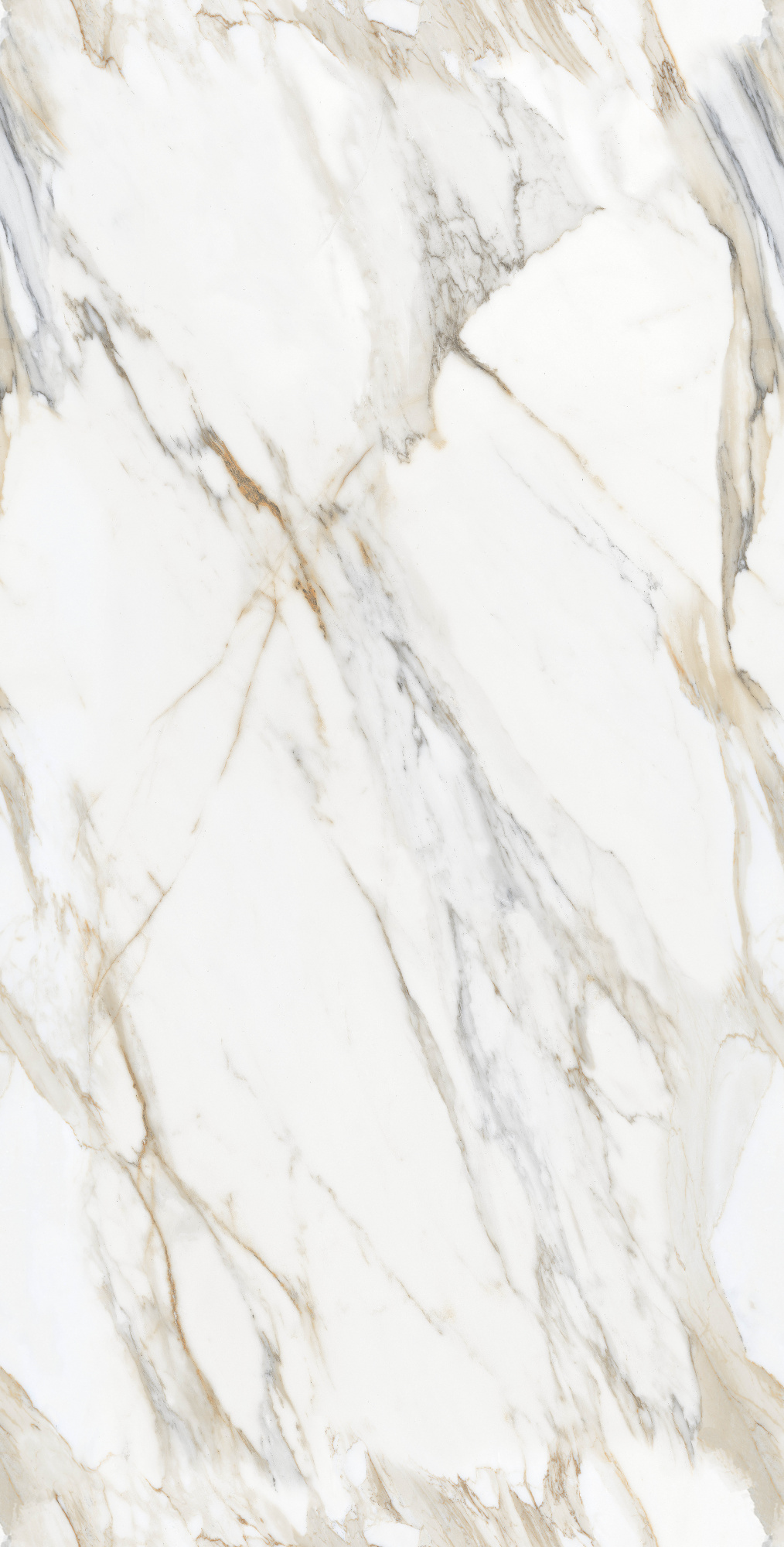 Calacatta Oro Glossy 60x120 Modern Tile