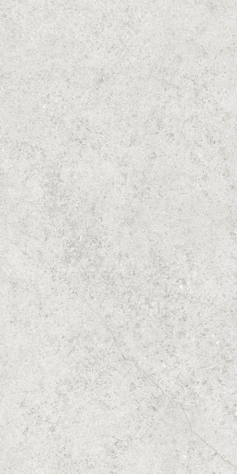 36904 Cluny Silver 4D/50X100X2/A/R 50x100 Peronda фото 12