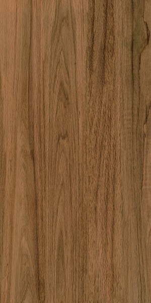 Greenwood Elite Matt 60x120 Bonaparte