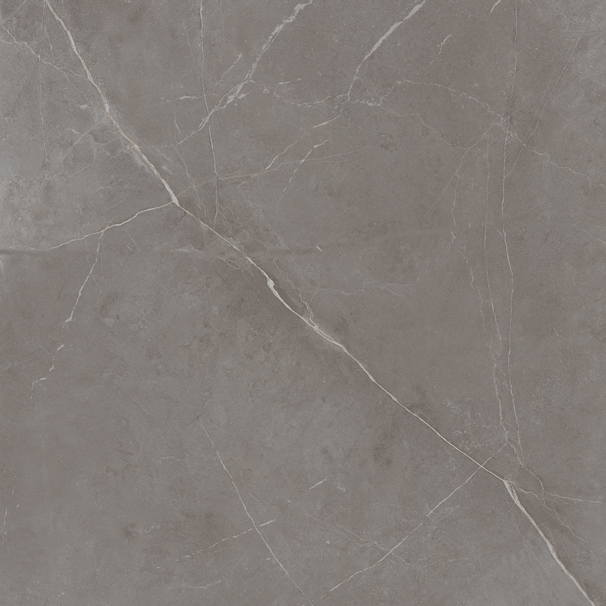 NL03 Nolana Dark Grey Неполированный Рект. 60x60x9  Estima фото 7