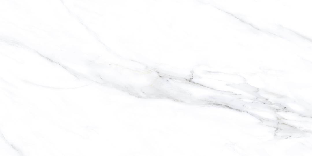 LC201 Palido Grey Lapato Carving 60x120 PrimaVera