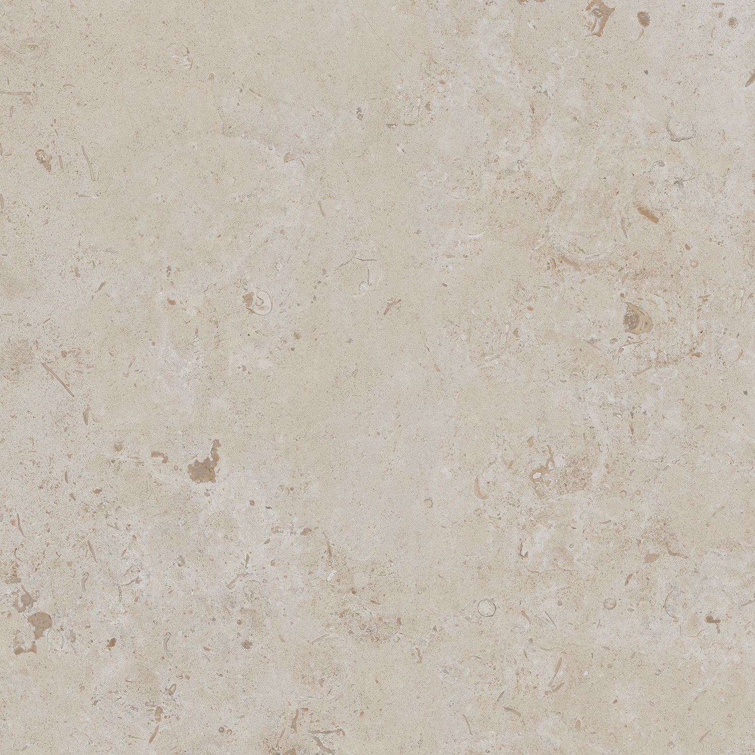 DD641120R Про Лаймстоун бежевый темный натуральный обрезной 60х60 Kerama Marazzi