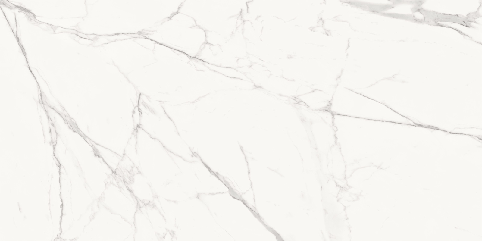 60120PFC15M Porfido Carrara матовый 600x1200x9.5 Delacora