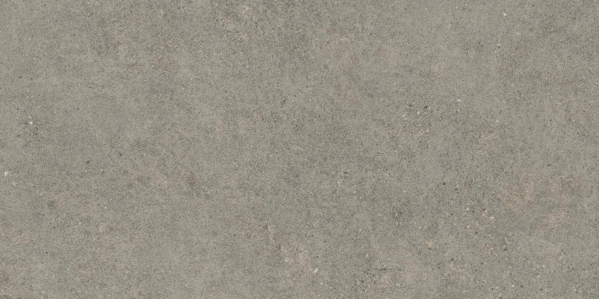 610010004124 Forte dei Marmi Rock Lunar Grey 20mm 60x120 Atlas Concorde Russia фото 4