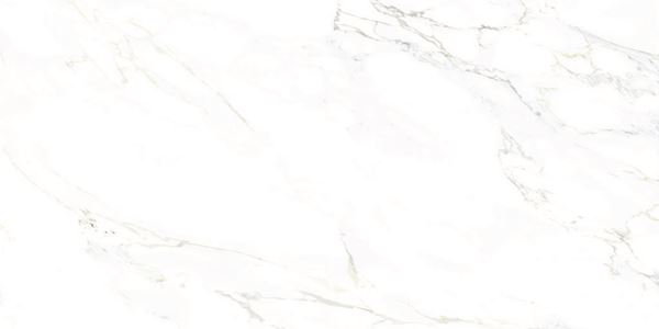 Monster White 80x160 Gravita