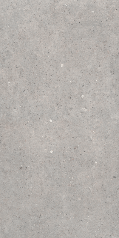 Cement Stone Grey RC 60x120 Azulejos Sanchis