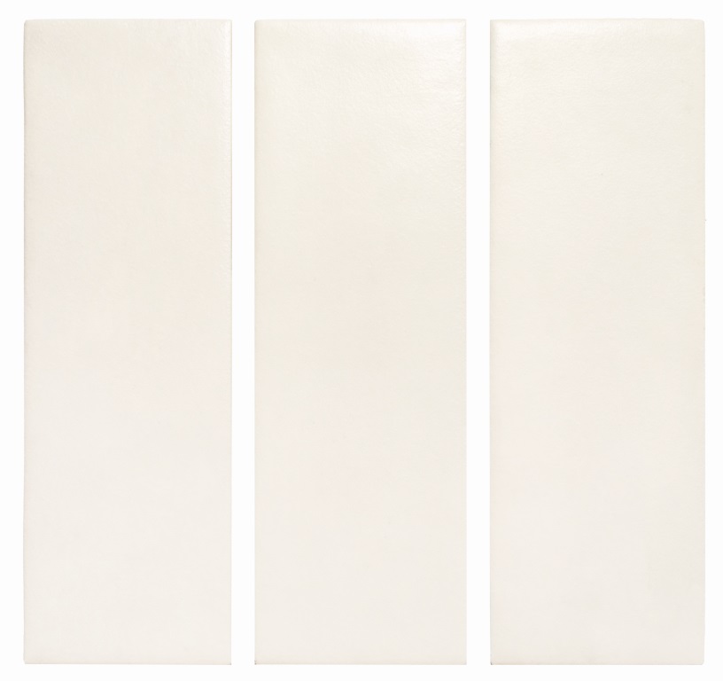 136306 Calema White Matt 5,2х16 DNA Tiles