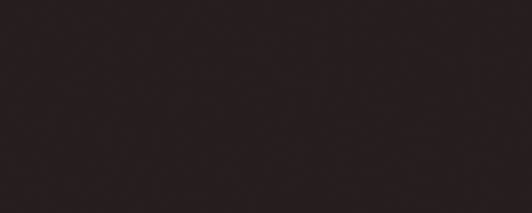 Negro Mate 20x50 VIVES