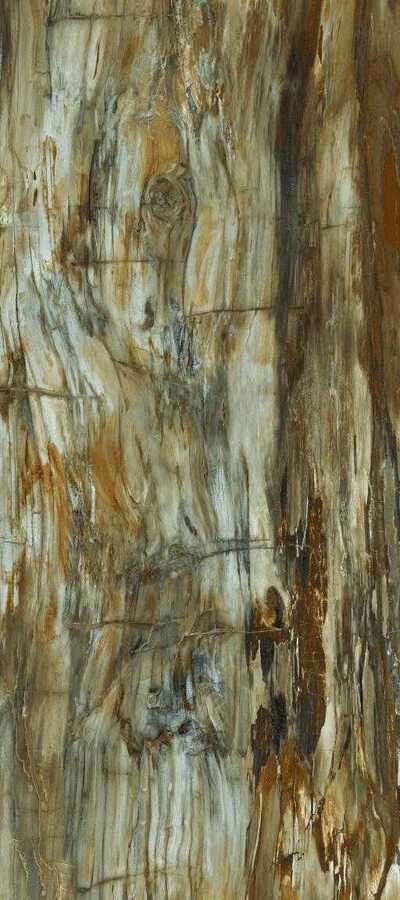 Arty Brown High gloss 60*120 Art Ceramic