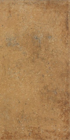 DARPP664 brown 22,5x45 RAKO