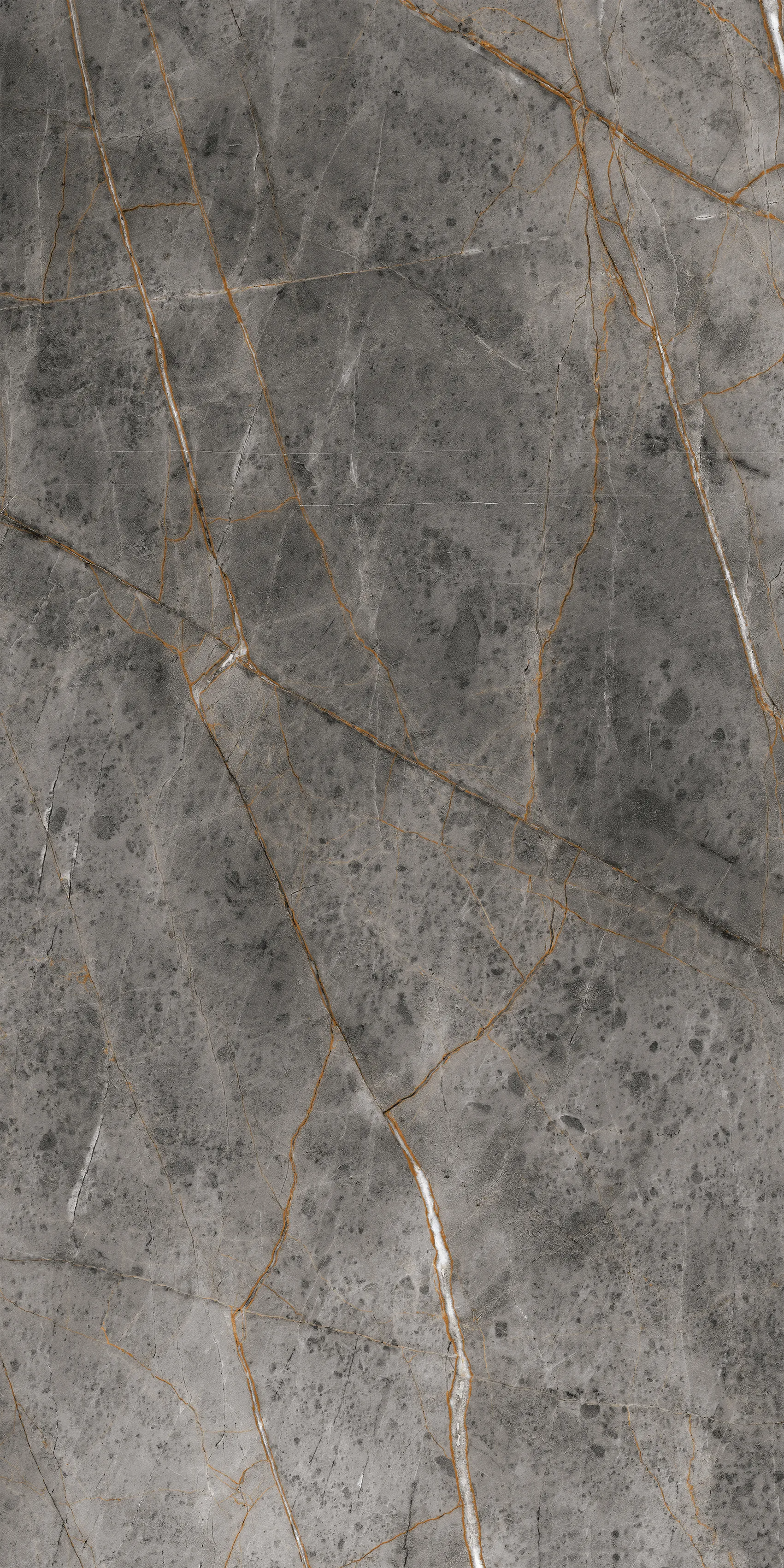 Python Rock Carving 60x120 Velsaa фото 4