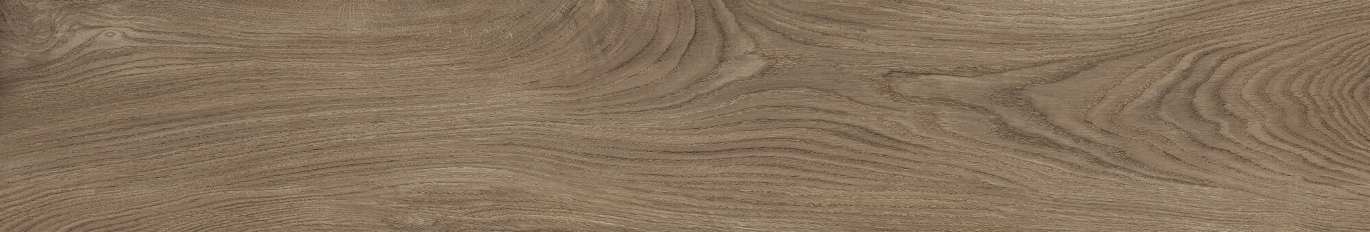 41729 Bloom Cognac SP/24x151x0,9/R 24x151 Peronda