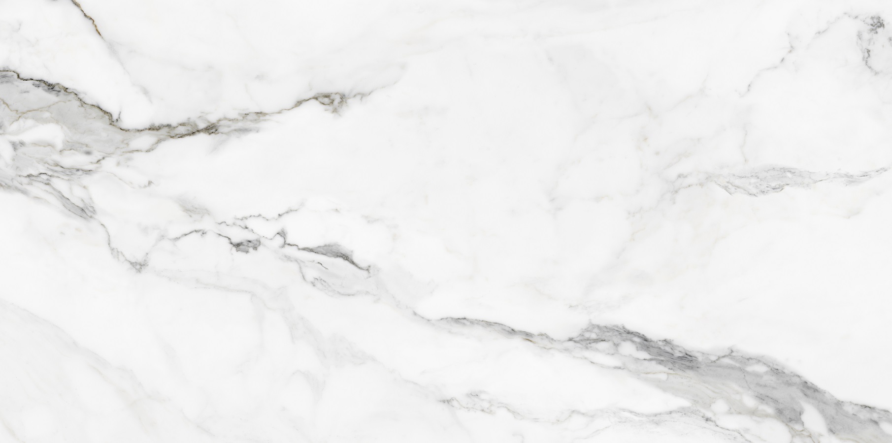 Insignia White Pulido 60x120 Colorker
