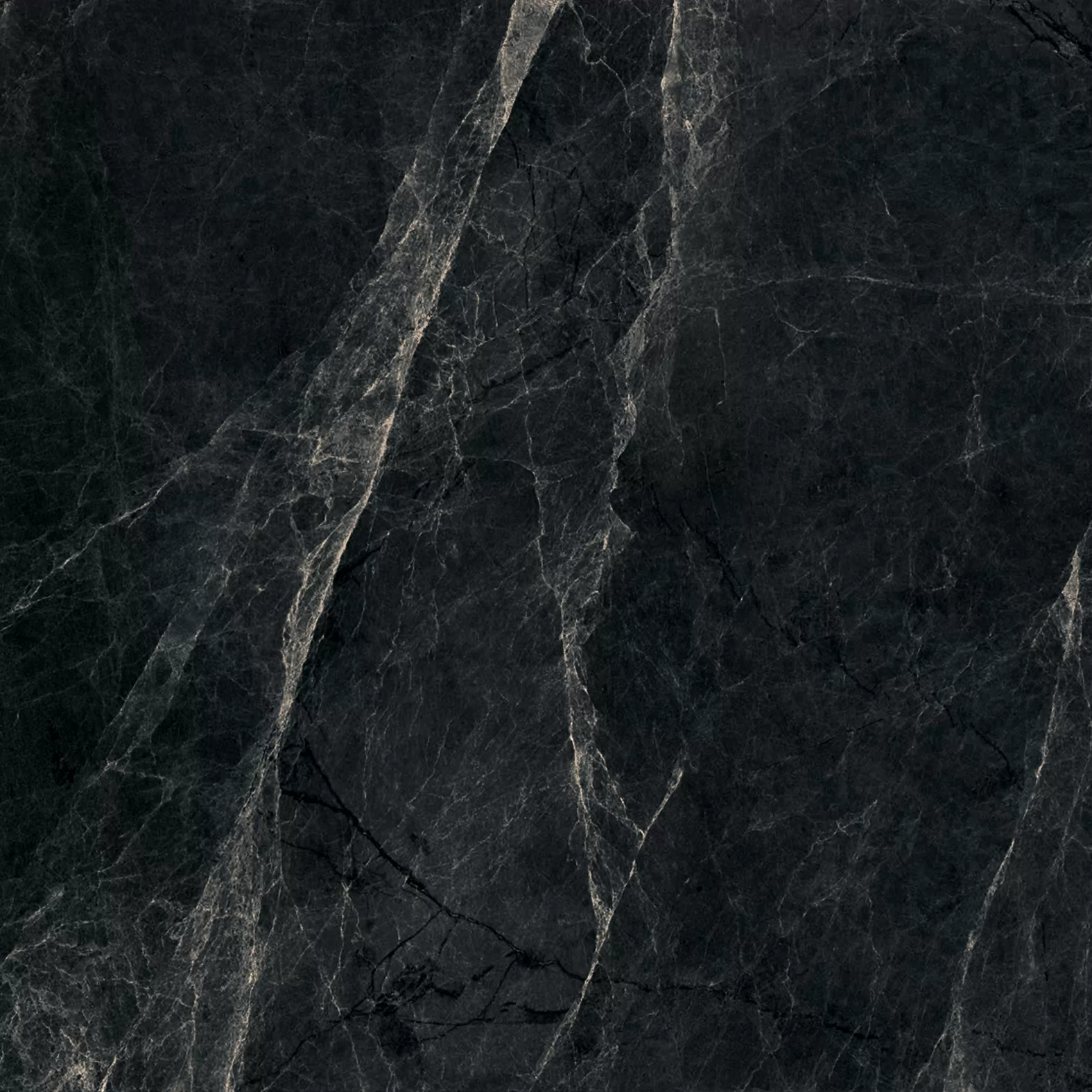 Worner Black sugar lapp. 60x60 Bluezone фото 13