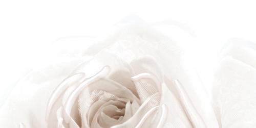10-05-11-350-1 Нежность бежевый А 50х25 BELLEZA