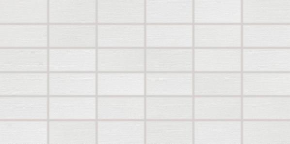 DDMBG622 FASHION white 30x60 RAKO