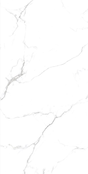 STATUARIO GRIS Glossy 60x120 One Touch