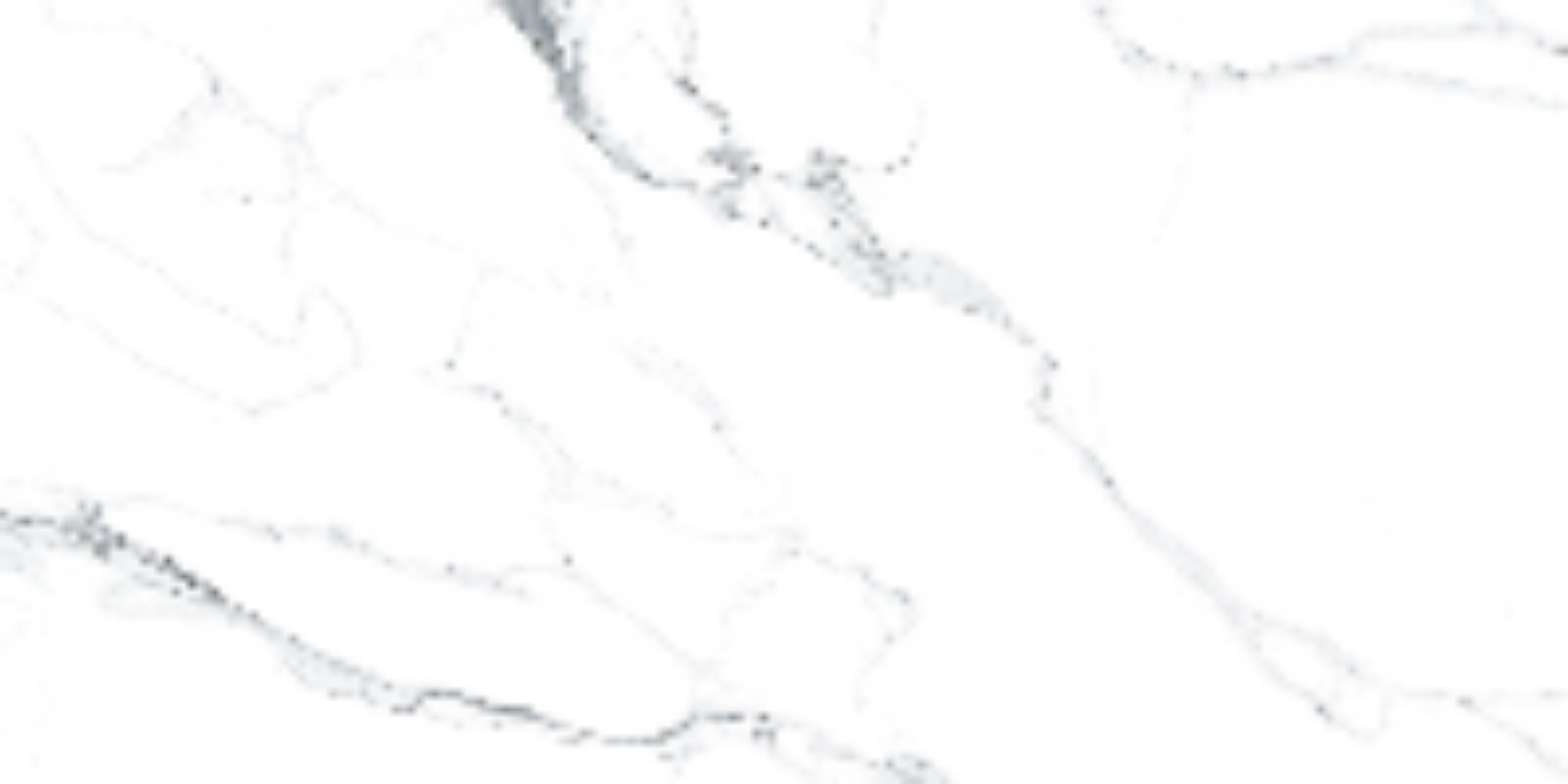 Statuariett White Natural 60x120 Prissmacer