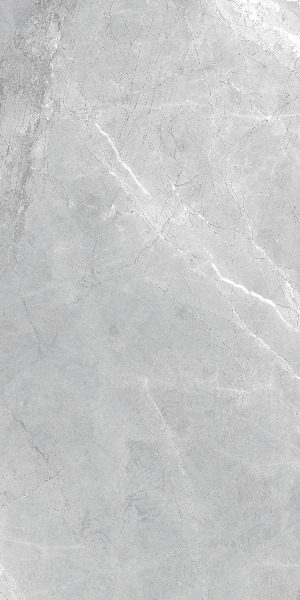 Asti Grey carving 60x120 Realistik