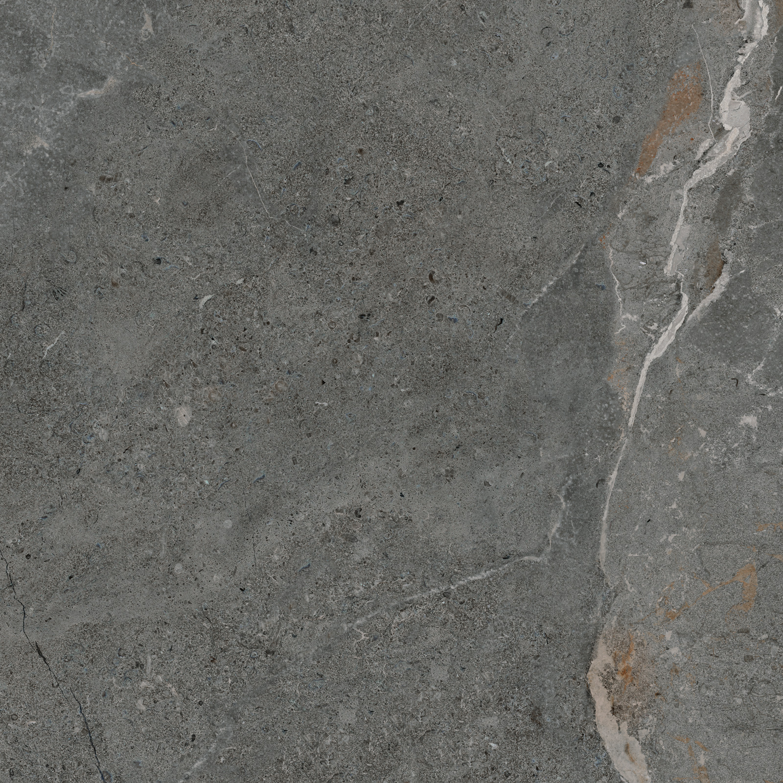 GP6060TIA25M Titanium Graphite матовый 600x600x9.5 Artkera Group